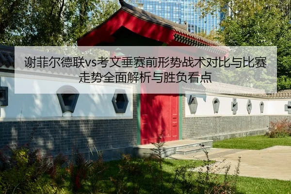 谢菲尔德联vs考文垂赛前形势战术对比与比赛走势全面解析与胜负看点